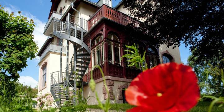 Villa Rosenthal mit roter Blume im Vordergrund   ©JenaKultur, A. Hub 