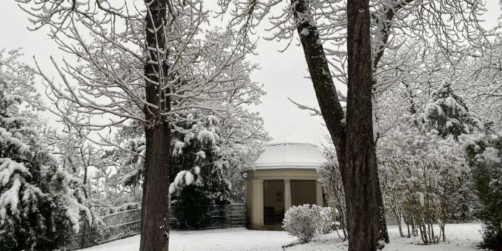 Villa Rosenthal Winter Folly 