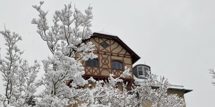 Villa Rosenthal Schnee