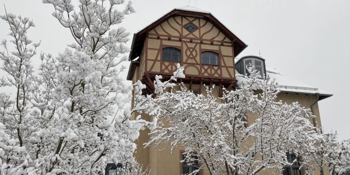 Villa Rosenthal, Schnee, zwei Bäumen im Vordergrund, Winter